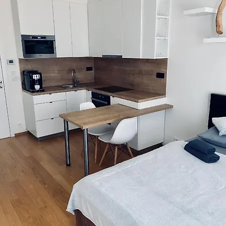 Business Apartments 布尔诺 外观 照片